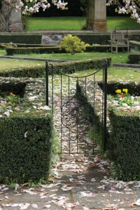 gate with magnolia petals